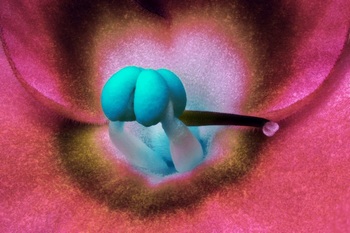 F 032C